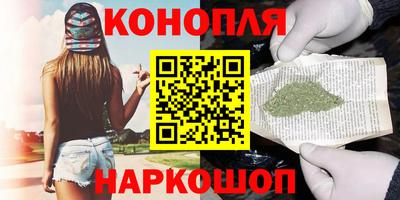стафф Гай