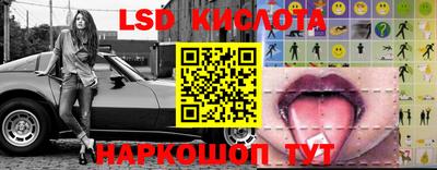 стафф Гай
