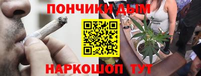 стафф Гай