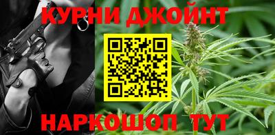 стафф Гай