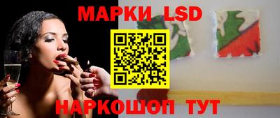 стафф Гай