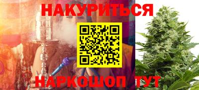 стафф Гай
