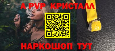 стафф Гай