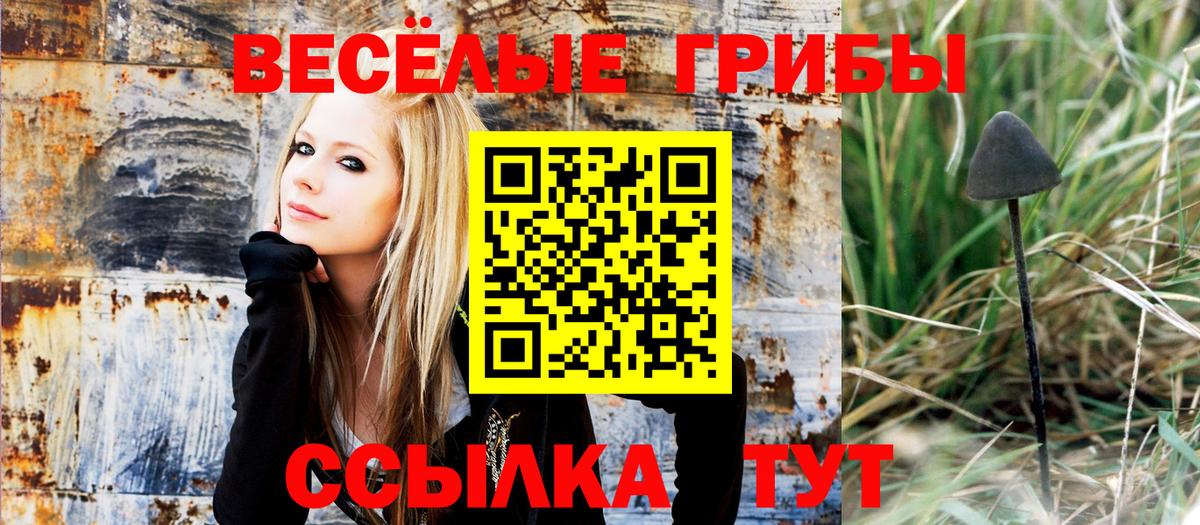 Галлюциногенные грибы мухоморы Бахчисарай
